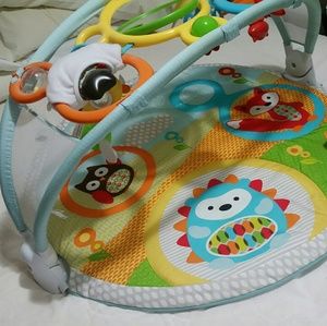 Skiphop Amazing Arc activity gym